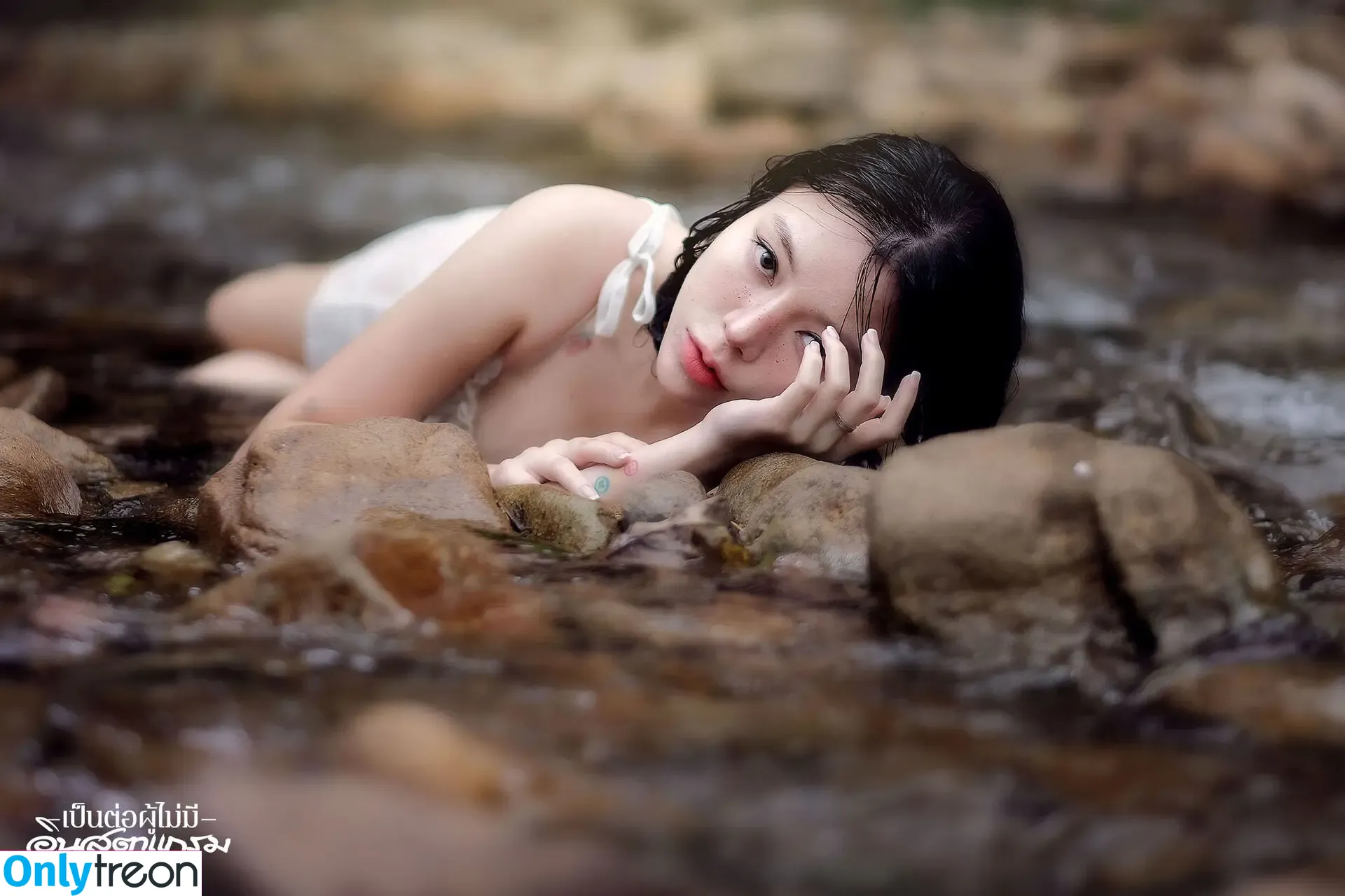 Nardear Montgod nude photo #0136 (Cat / catnardear / nardear)