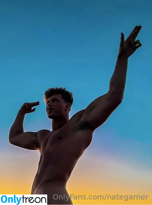 nategarner голая photo #0005 (nategarner)