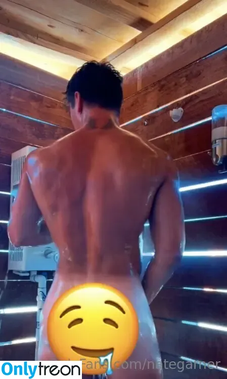 nategarner голая photo #0021 (nategarner)