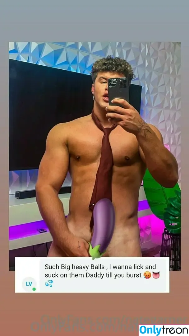 nategarner голая photo #0031 (nategarner)