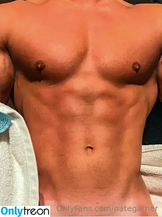 nategarner голая photo #0051 (nategarner)