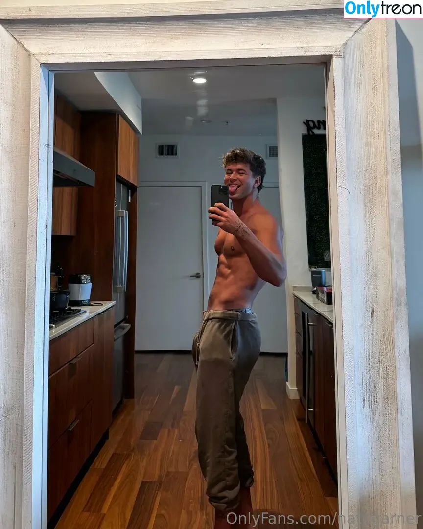 nategarner голая photo #0076 (nategarner)