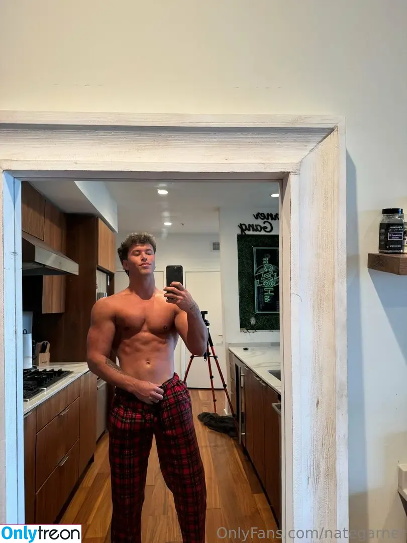 nategarner голая photo #0077 (nategarner)