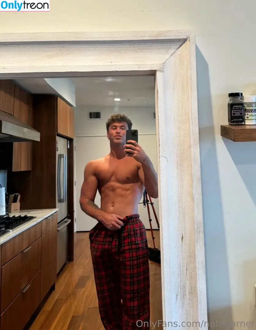 nategarner голая photo #0078 (nategarner)