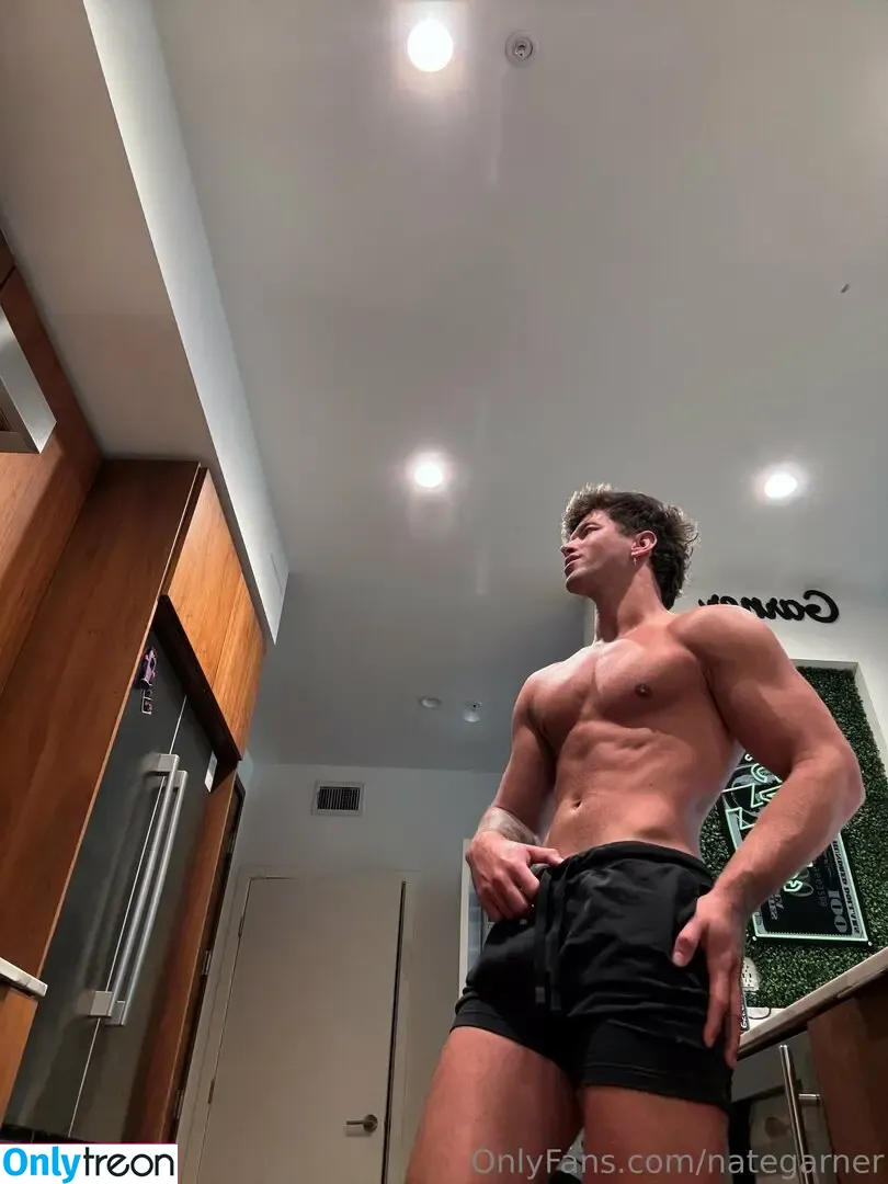 nategarner голая photo #0079 (nategarner)