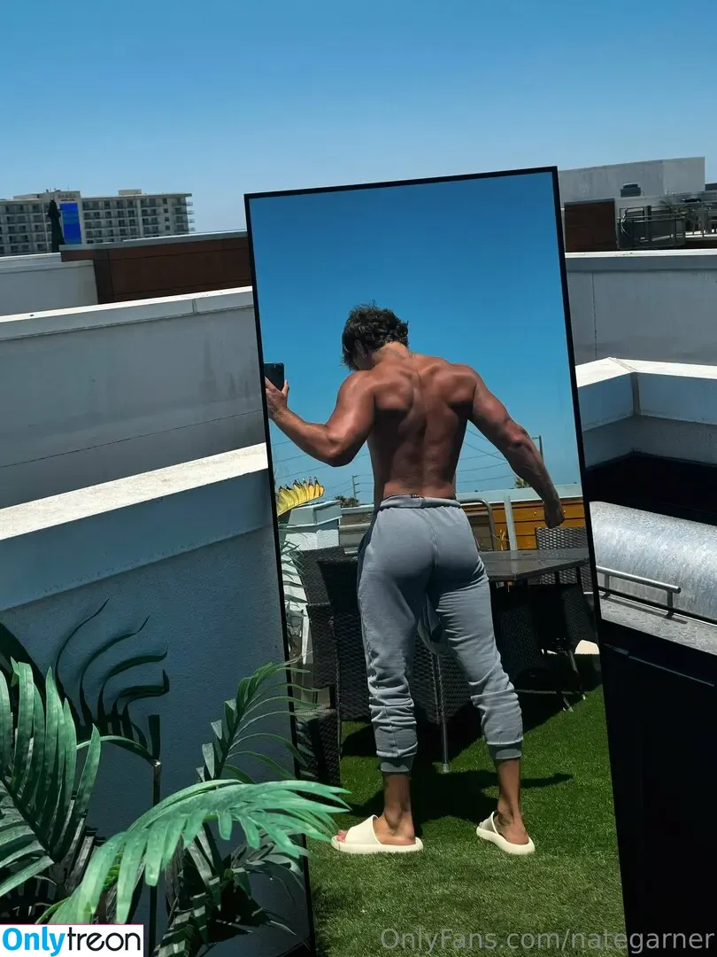 nategarner голая photo #0095 (nategarner)