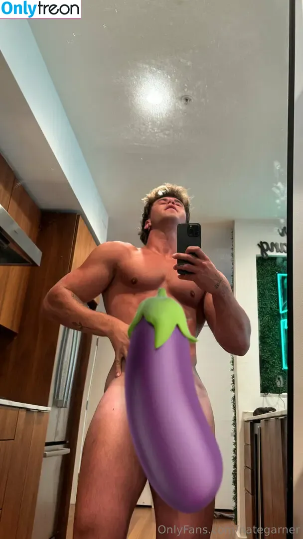 nategarner голая photo #0096 (nategarner)