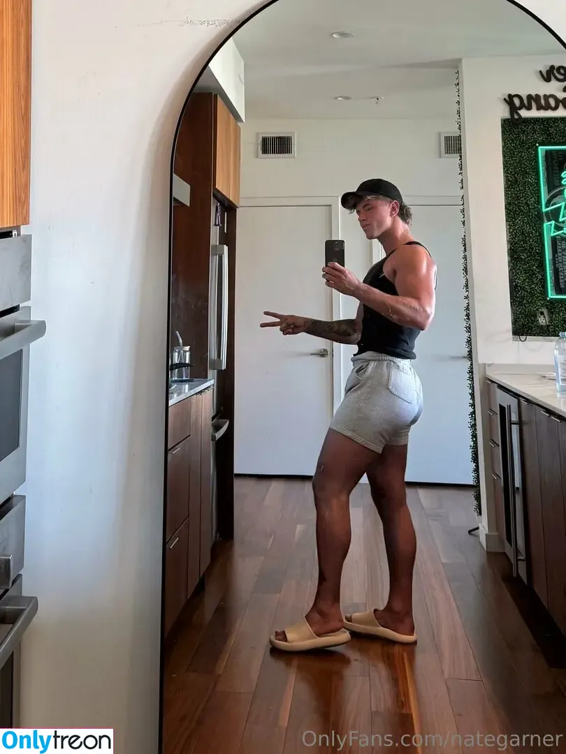 nategarner голая photo #0107 (nategarner)