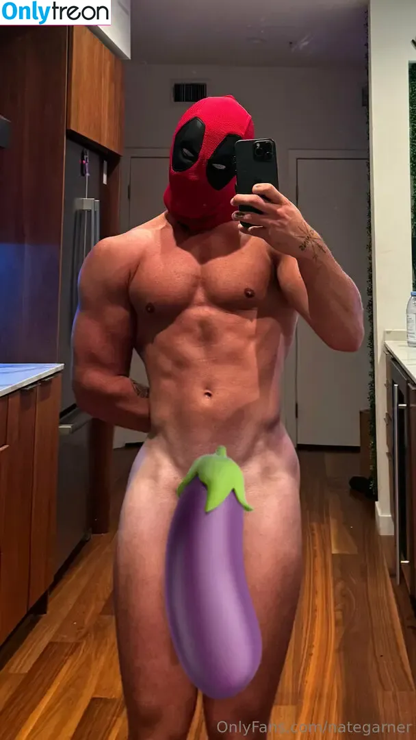 nategarner голая photo #0111 (nategarner)