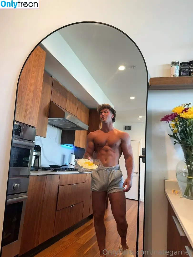 nategarner голая photo #0113 (nategarner)