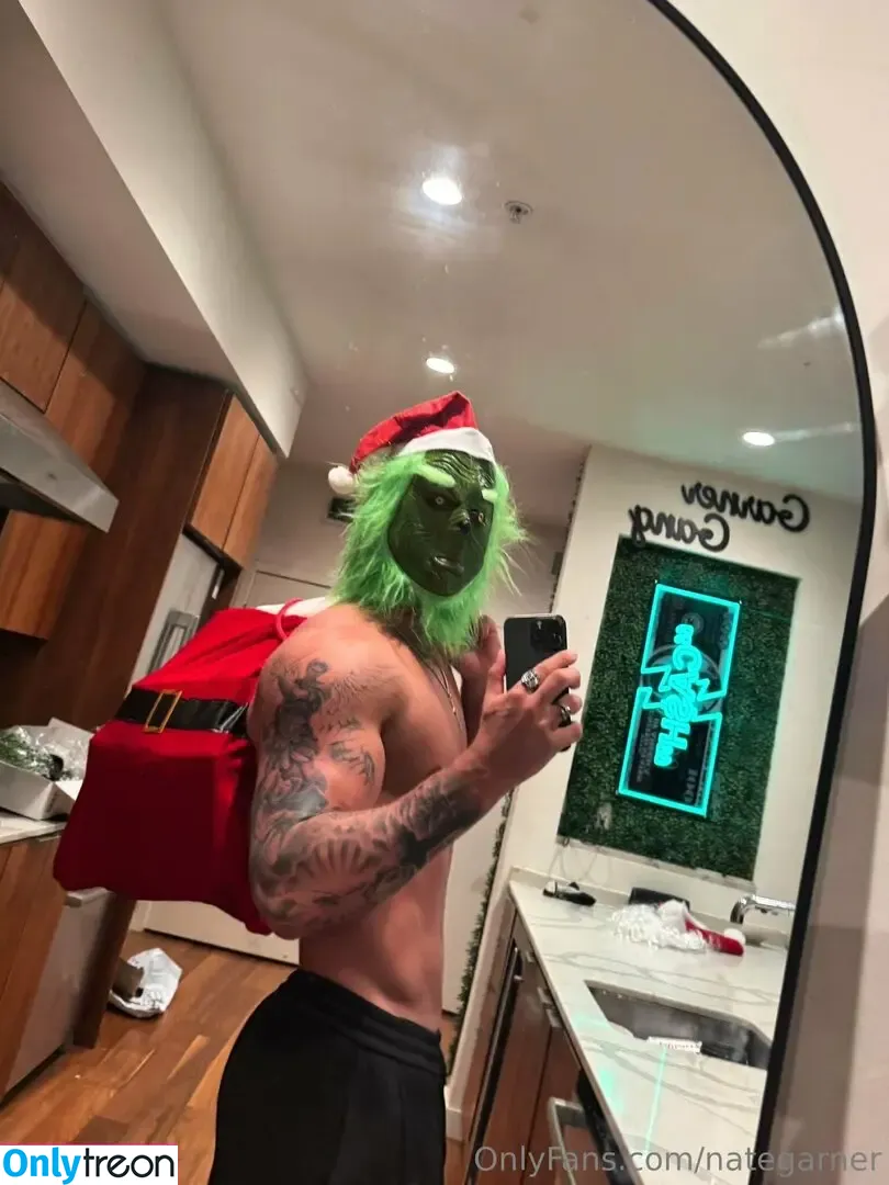 nategarner голая photo #0127 (nategarner)