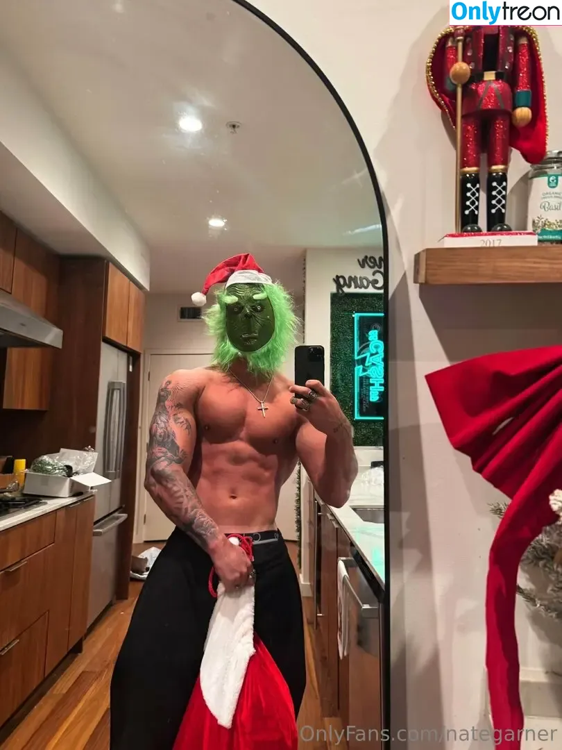 nategarner голая photo #0128 (nategarner)