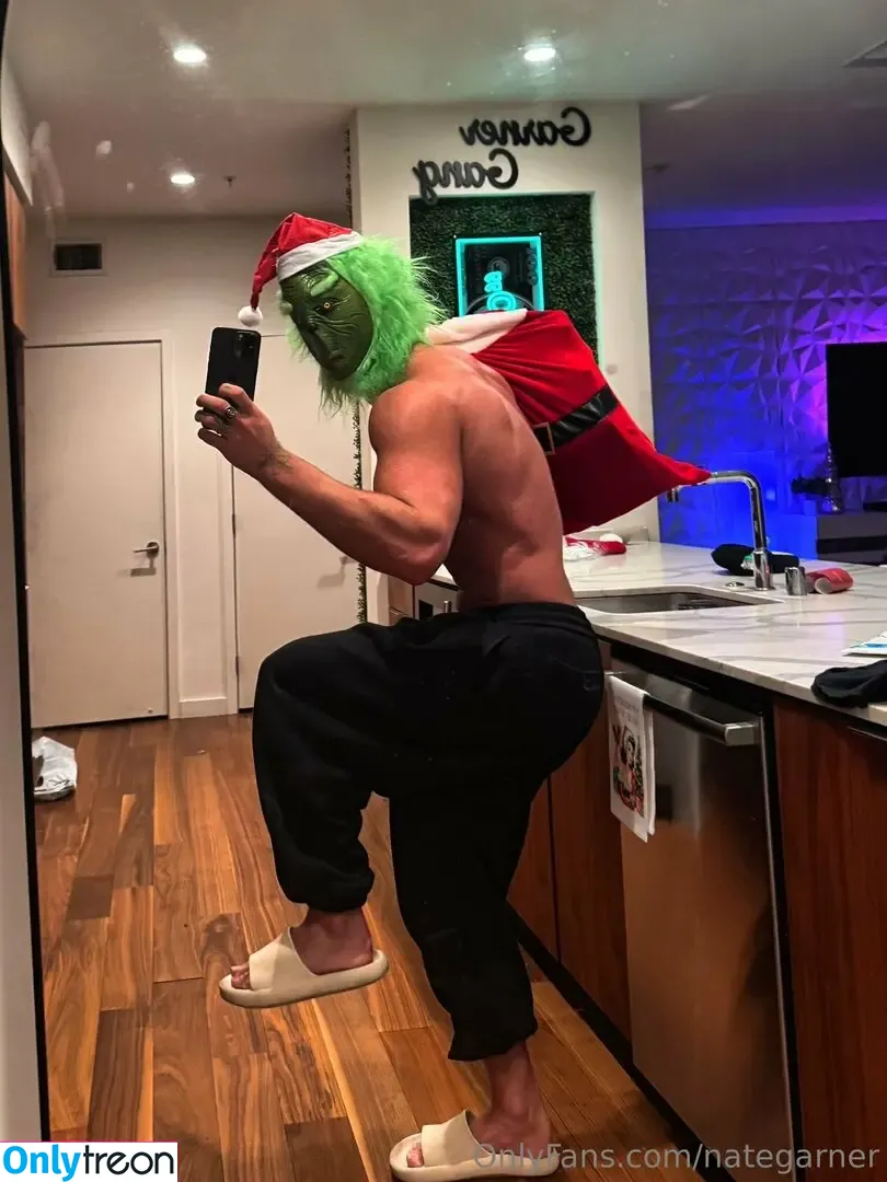 nategarner голая photo #0129 (nategarner)