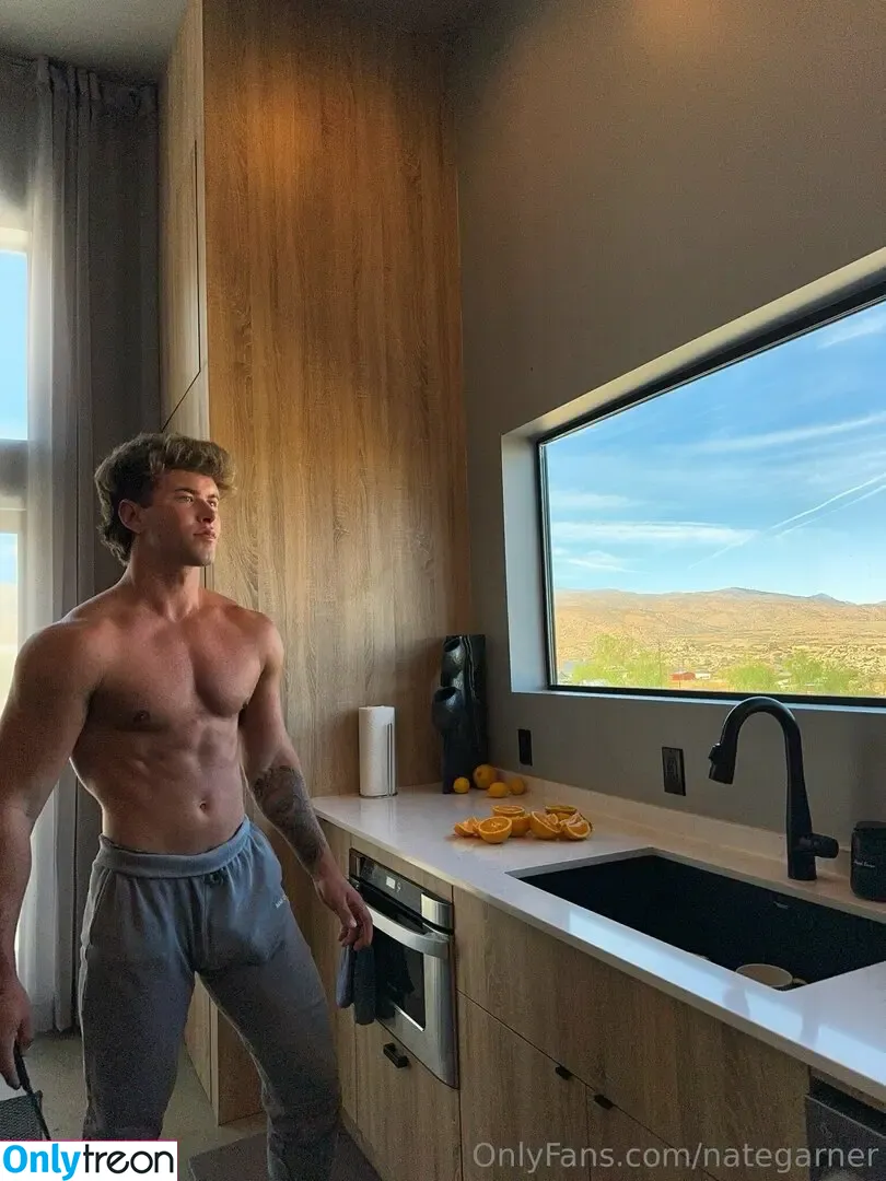 nategarner голая photo #0138 (nategarner)