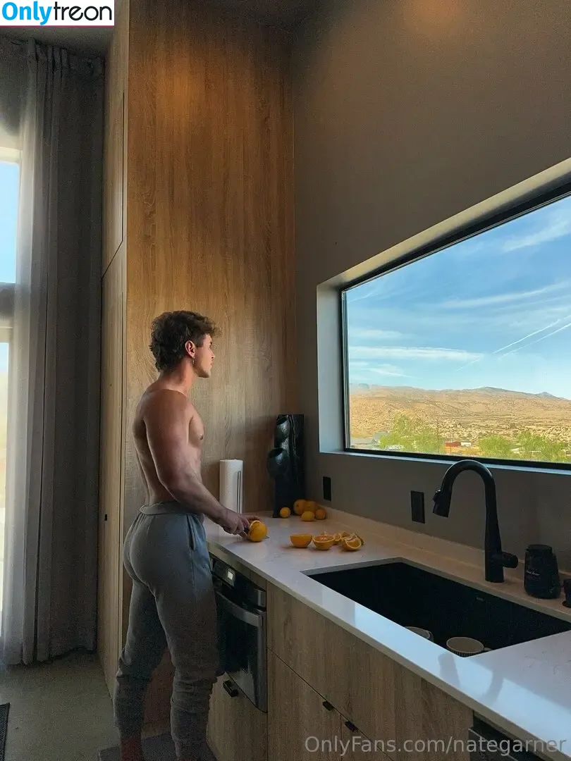 nategarner голая photo #0139 (nategarner)
