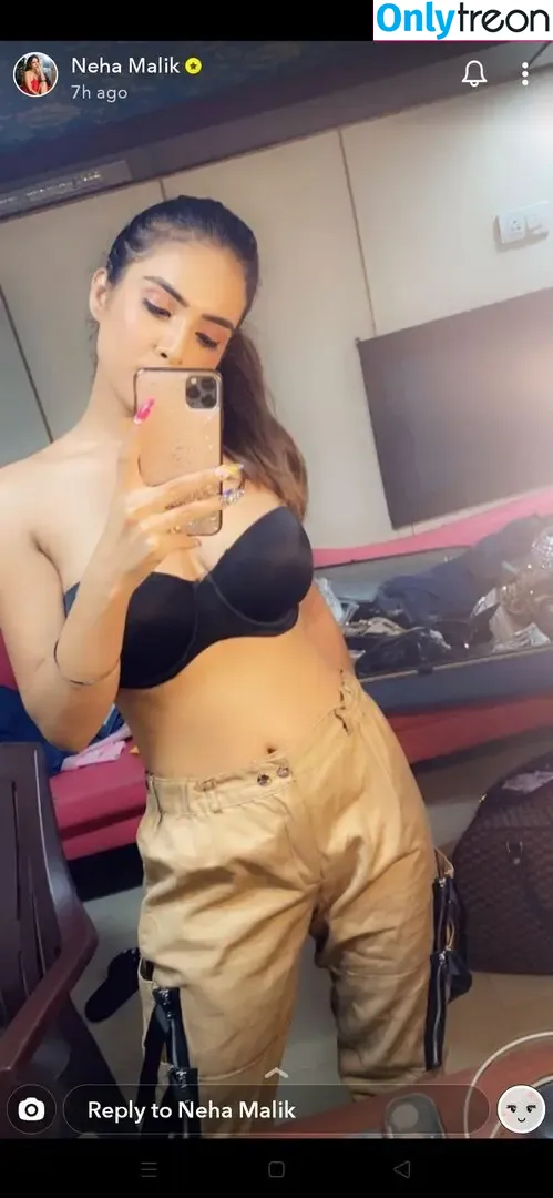 Neha Malik голая photo #0511 (Nehamalik335)