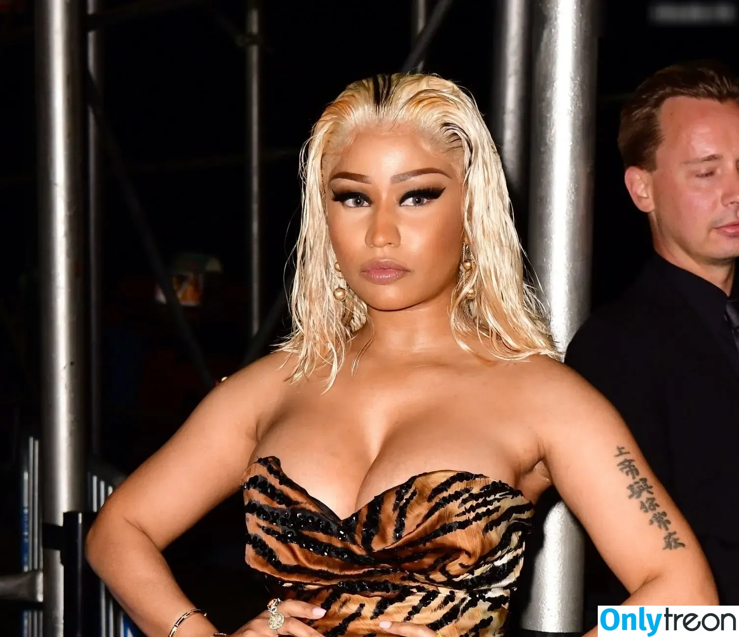 Nicki Minaj голая photo #0790 (nickiminaj)