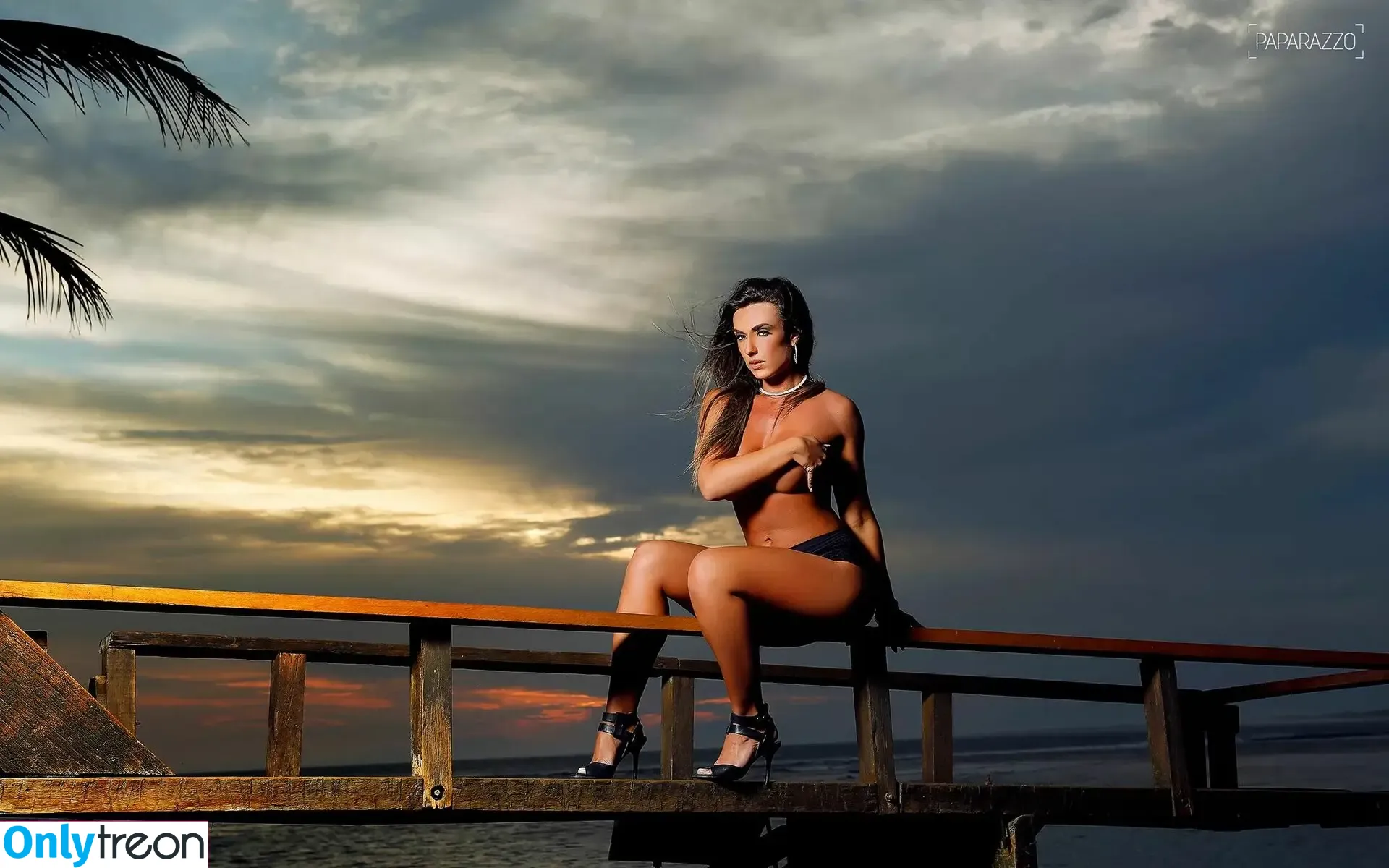Nicole Bahls nude photo #0390 (nicolebahls)