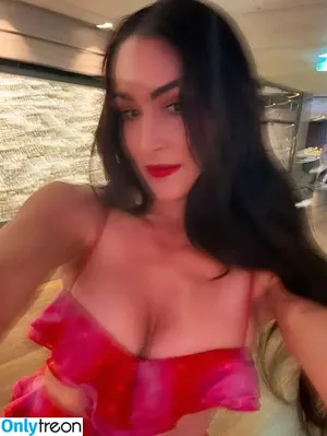Nikki Bella / thenikkibella nude photo #0133