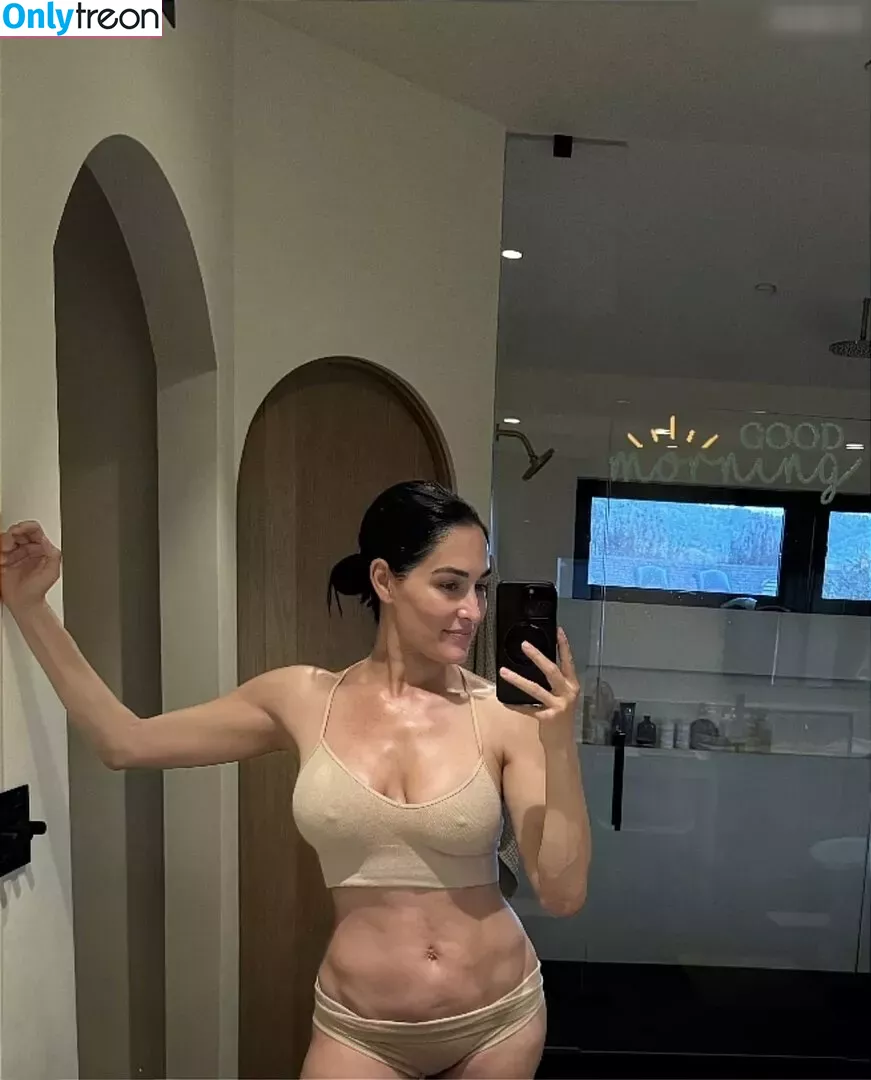 Nikki Bella nude photo #0083 (nikkigarcia)