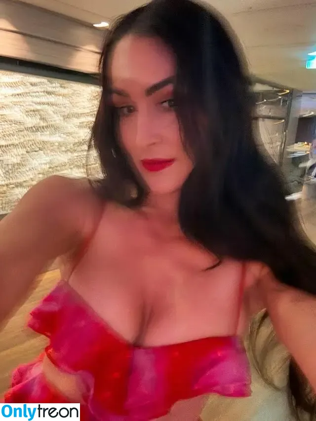 Nikki Bella nude photo #0133 (thenikkibella)