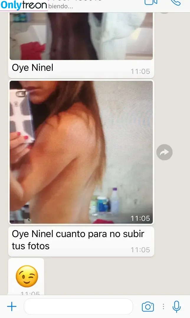 Ninel Conde nude photo #0130 (ninelconde)