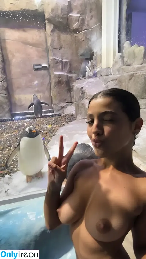 Nourhene Hocini nude photo #0336 (Nourhene Hocini)