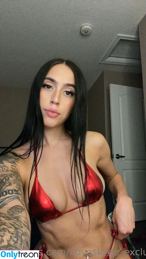novaskyee_exclusive nude photo #0044 (novaskyee_exclusive)
