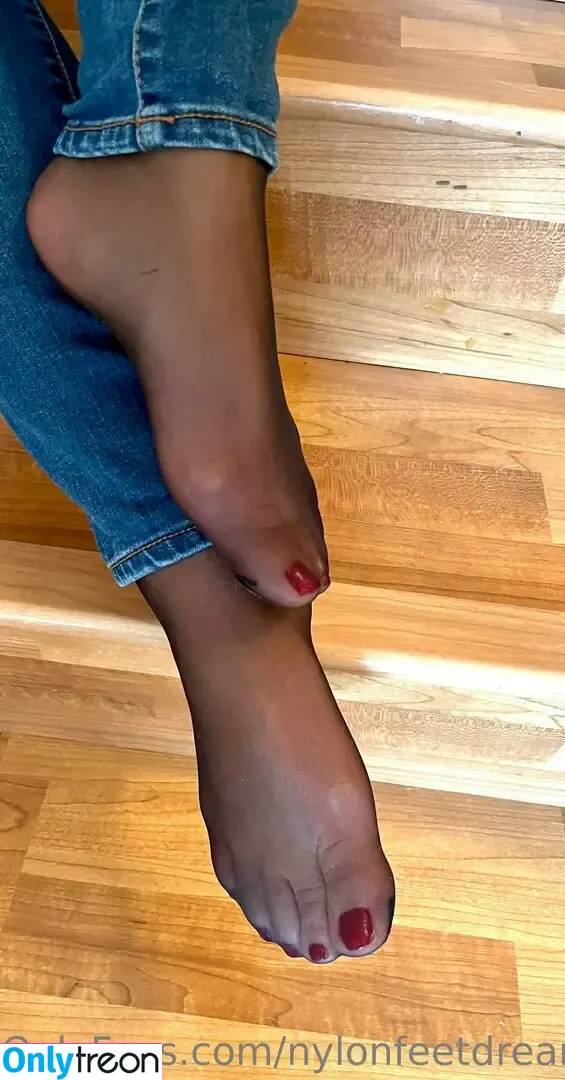nylonfeetdreams nude photo #0092 (inyournylondreams4)