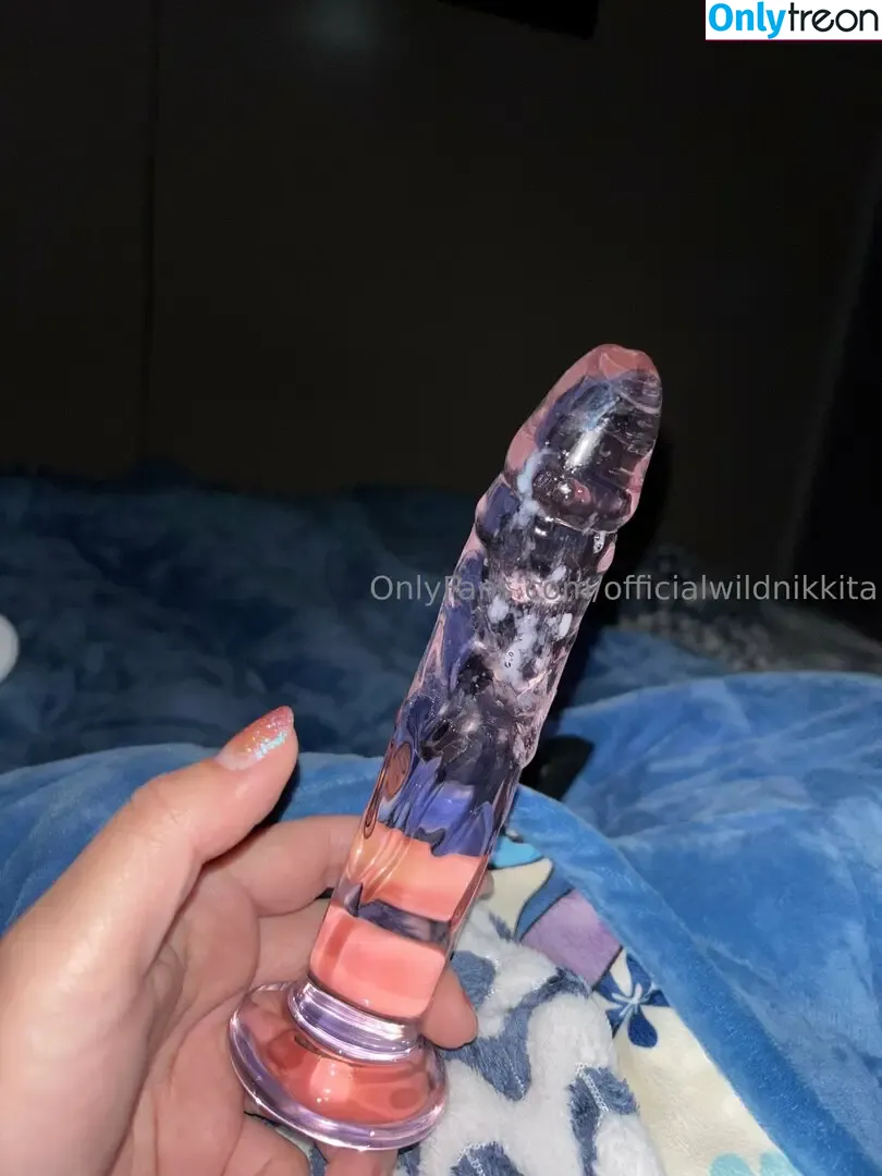 officialwildnikkita nude photo #0065 (awildnikkita)