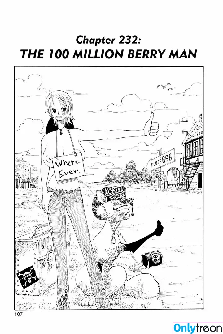 One Piece голая photo #1928 (kiiingkrystal / onepiece_staff)