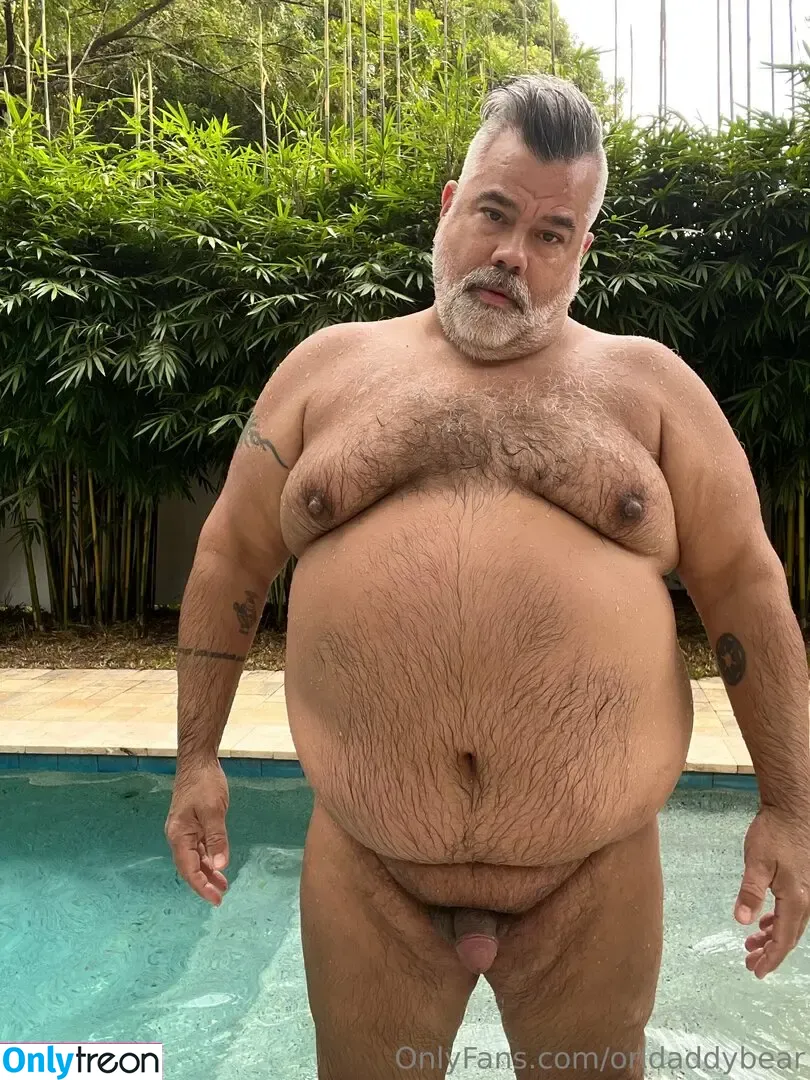 orldaddybear nude photo #0059 (rdocherty12)
