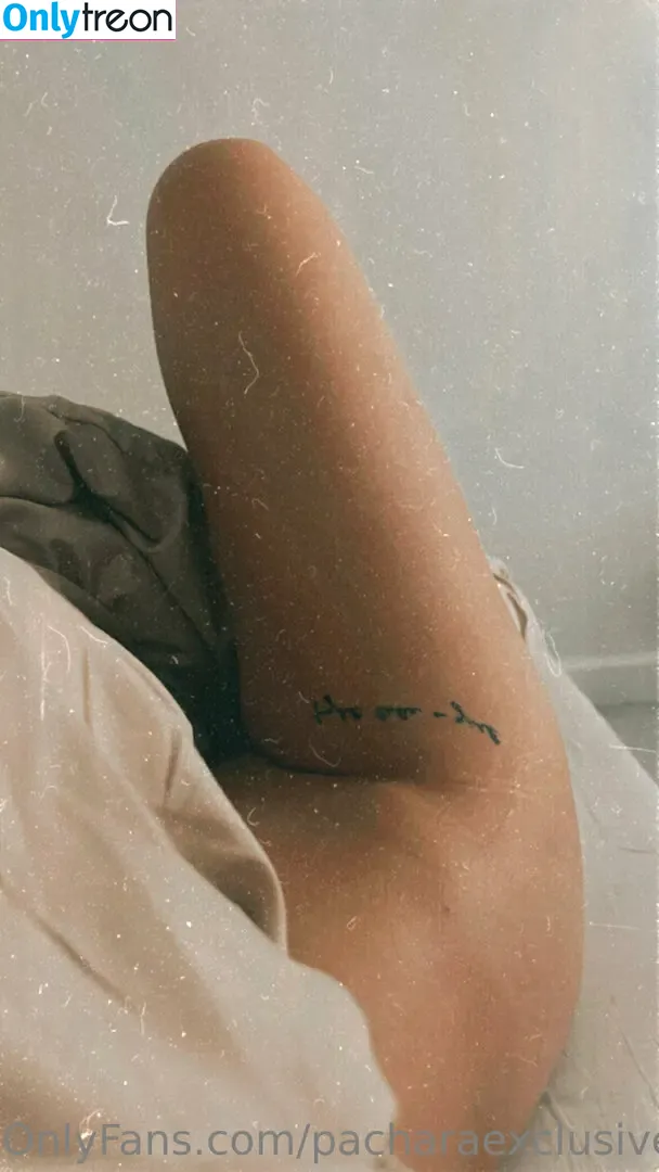 pacharaexclusive nude photo #0004 (pachex)