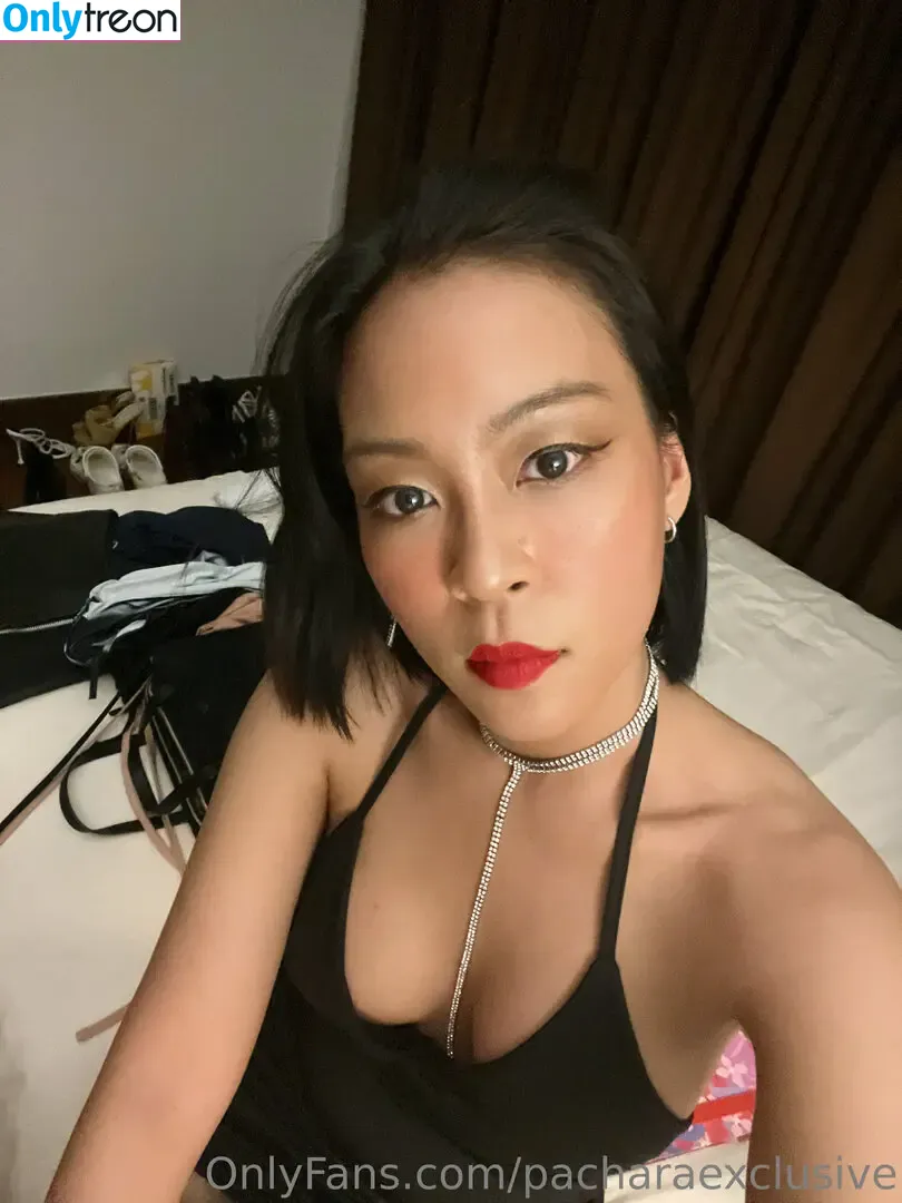 pacharaexclusive nude photo #0012 (pachex)