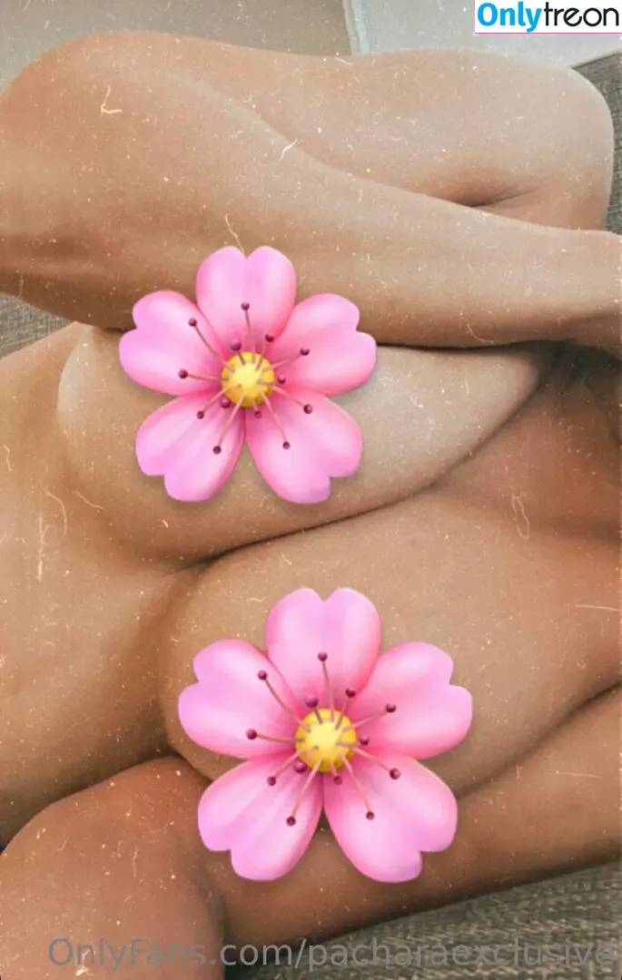 pacharaexclusive nude photo #0025 (pachex)