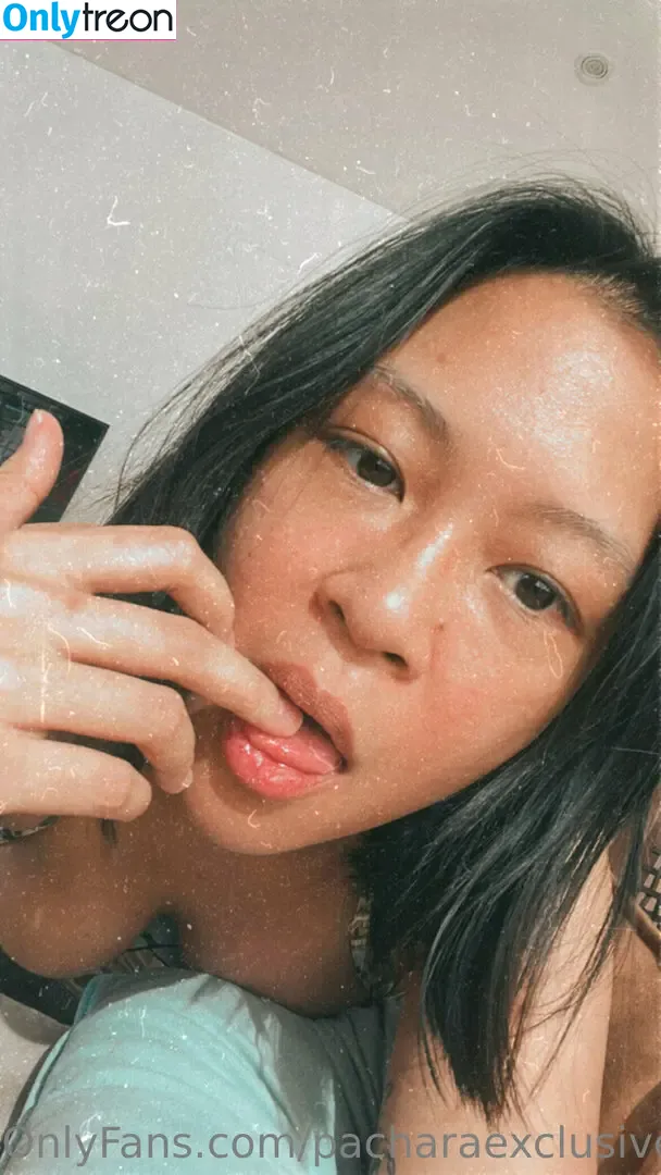 pacharaexclusive nude photo #0027 (pachex)
