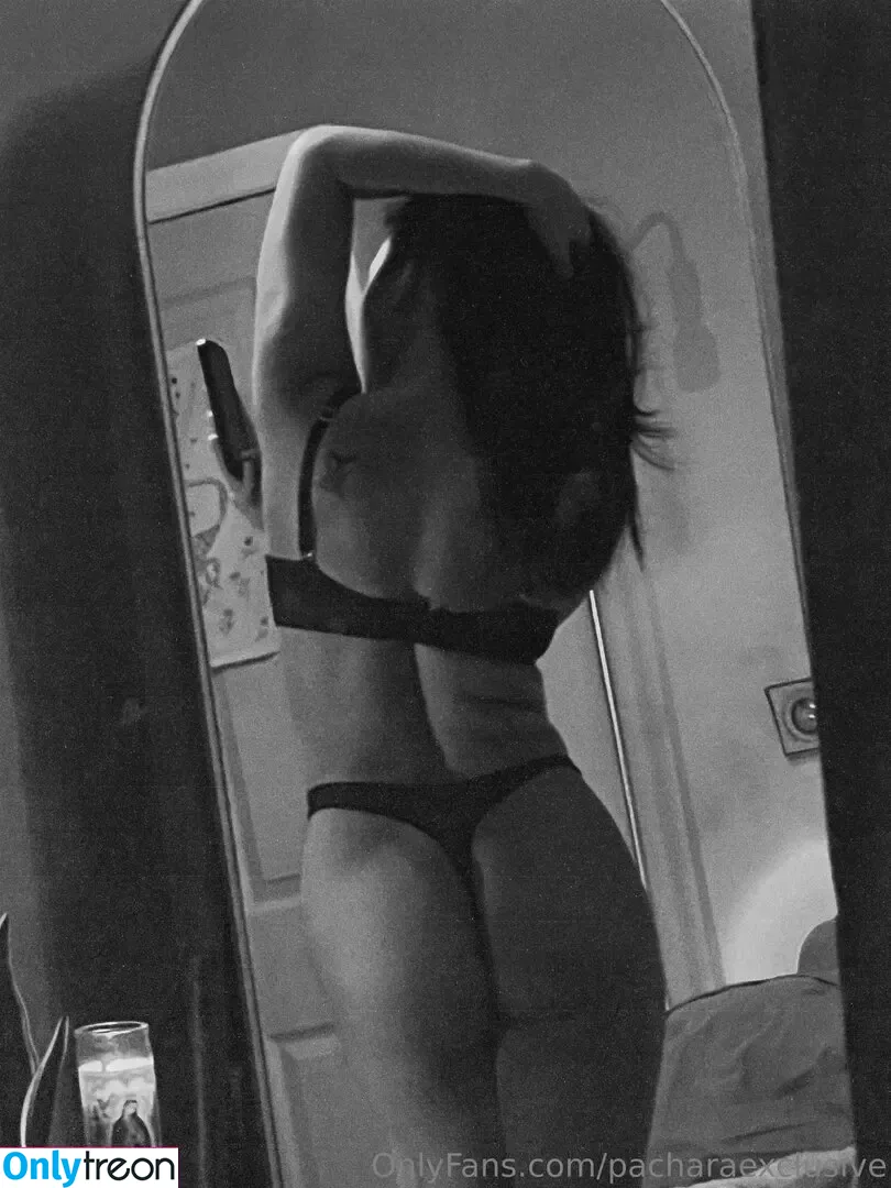 pacharaexclusive голая photo #0062 (pachex)