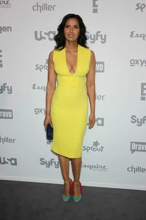 Padma Lakshmi / padmalakshmi nude photo #0021