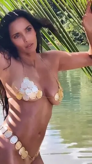 Padma Lakshmi / padmalakshmi nude photo #0097