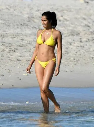 Padma Lakshmi / PadmaLakshmi фото голая #0192