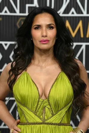 Padma Lakshmi / PadmaLakshmi фото голая #0219