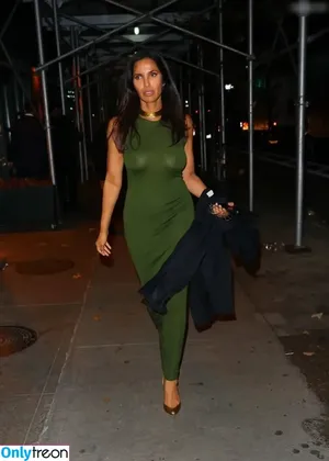 Padma Lakshmi / padmalakshmi nude photo #0284