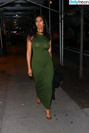 Padma Lakshmi / padmalakshmi nude photo #0286