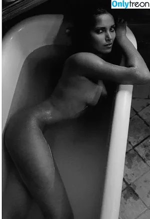 Padma Lakshmi / padmalakshmi nude photo #0297