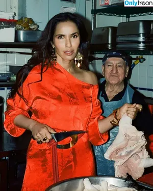 Padma Lakshmi / PadmaLakshmi фото голая #0502