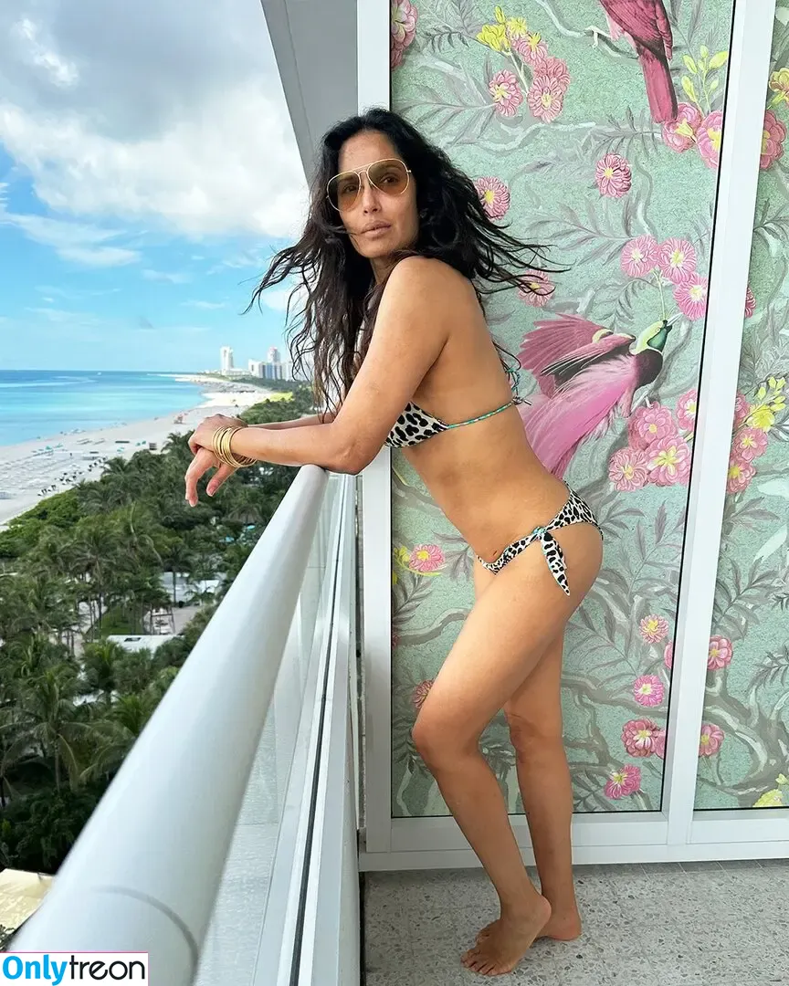 Padma Lakshmi nude photo #0364 (padmalakshmi)