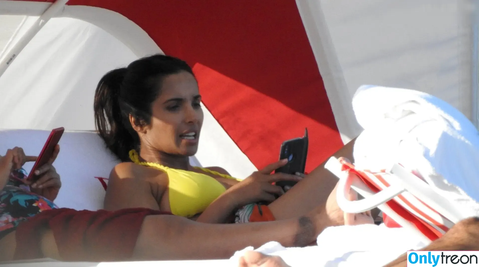 Padma Lakshmi nude photo #0403 (PadmaLakshmi)