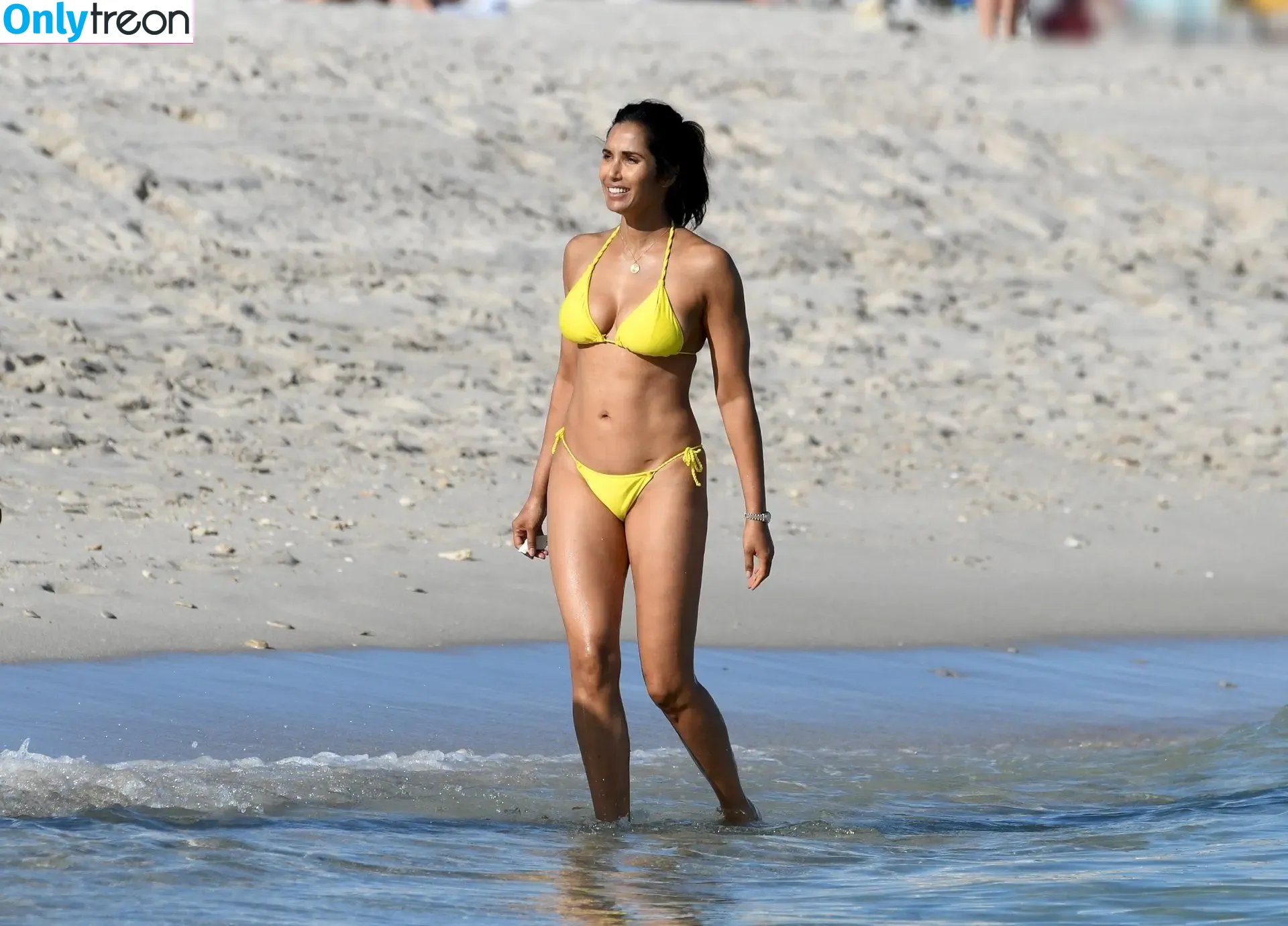 Padma Lakshmi nude photo #0406 (PadmaLakshmi)