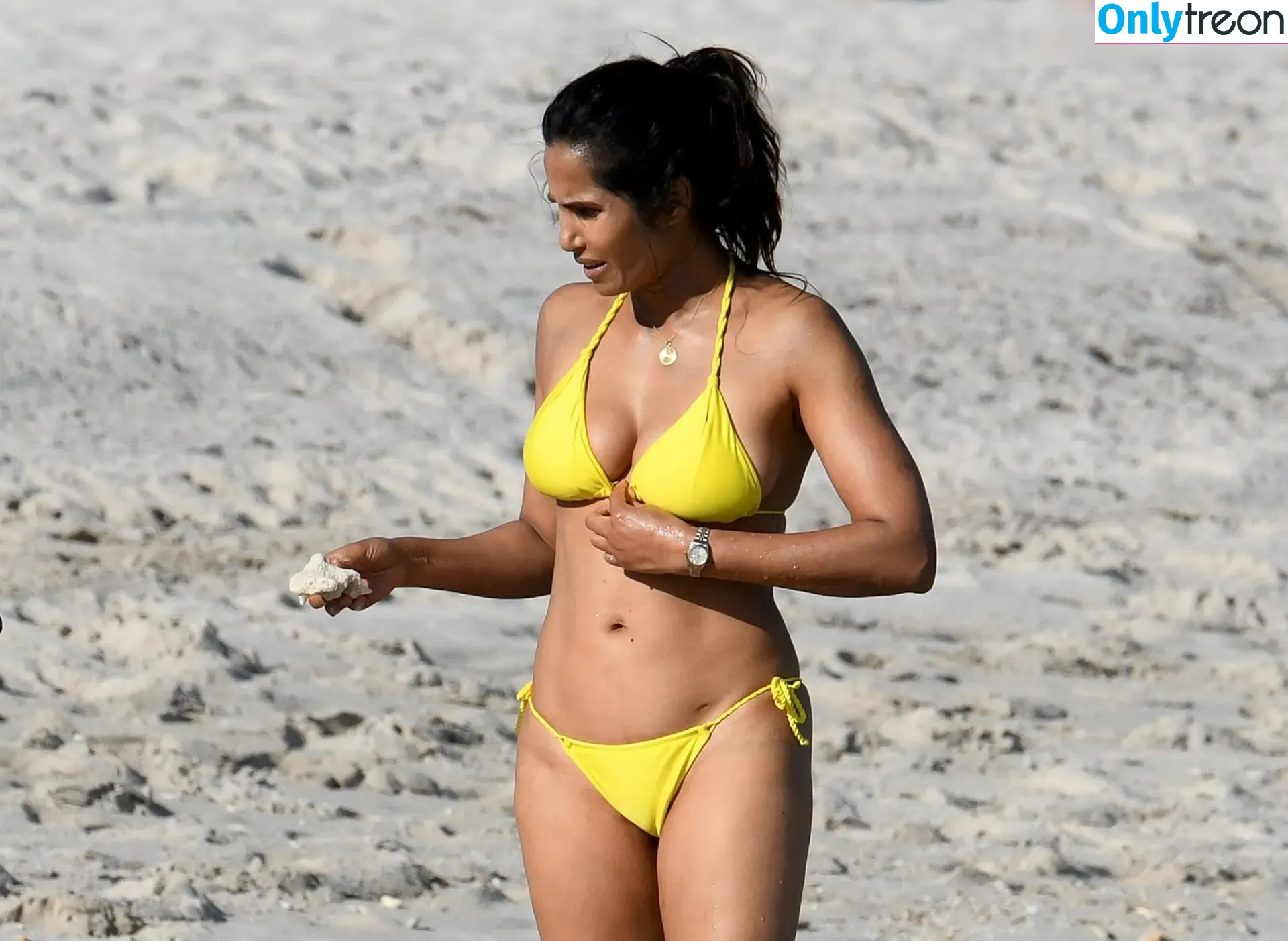 Padma Lakshmi nude photo #0415 (PadmaLakshmi)