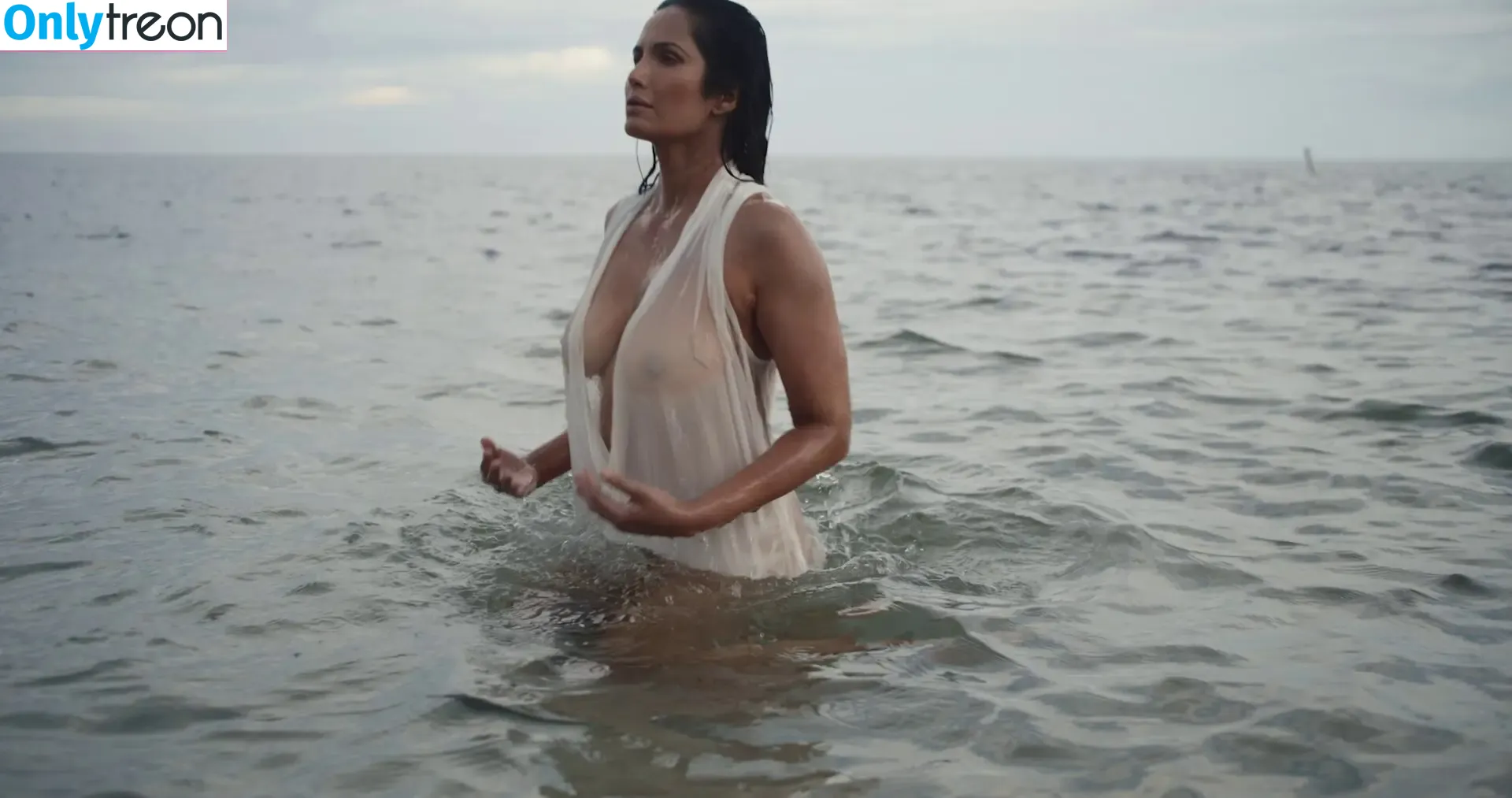 Padma Lakshmi nude photo #0480 (PadmaLakshmi)